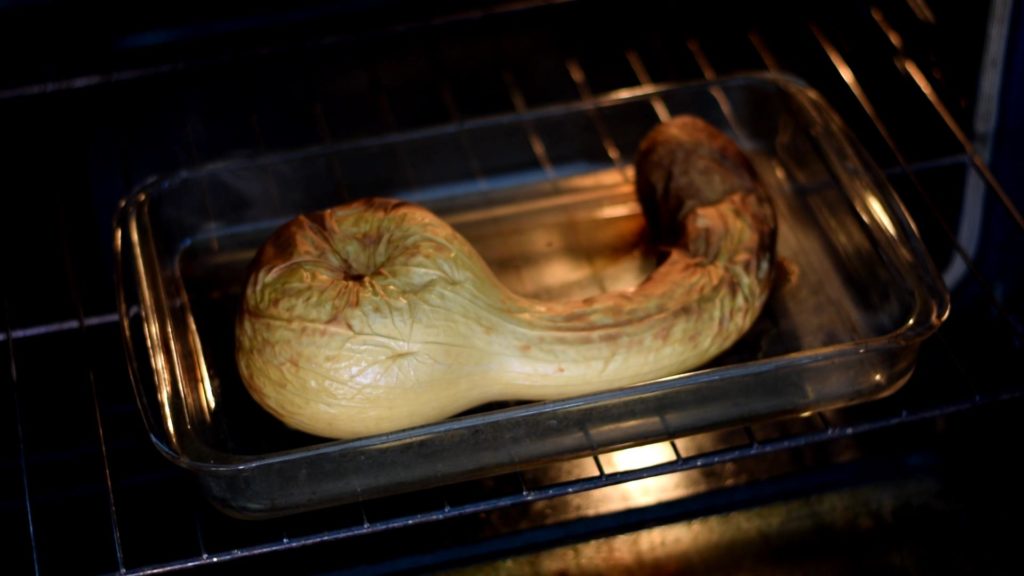 roasting Crookneck Winter Squash