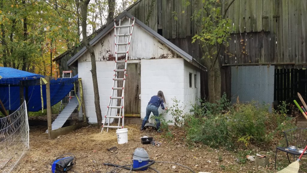 Limewash the Chicken Coop
