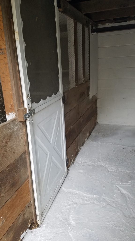 Chicken Coop Chicken Side